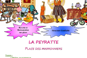 vide grenier la peyratte 79