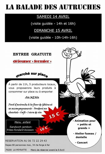 vide grenier la peyratte 79